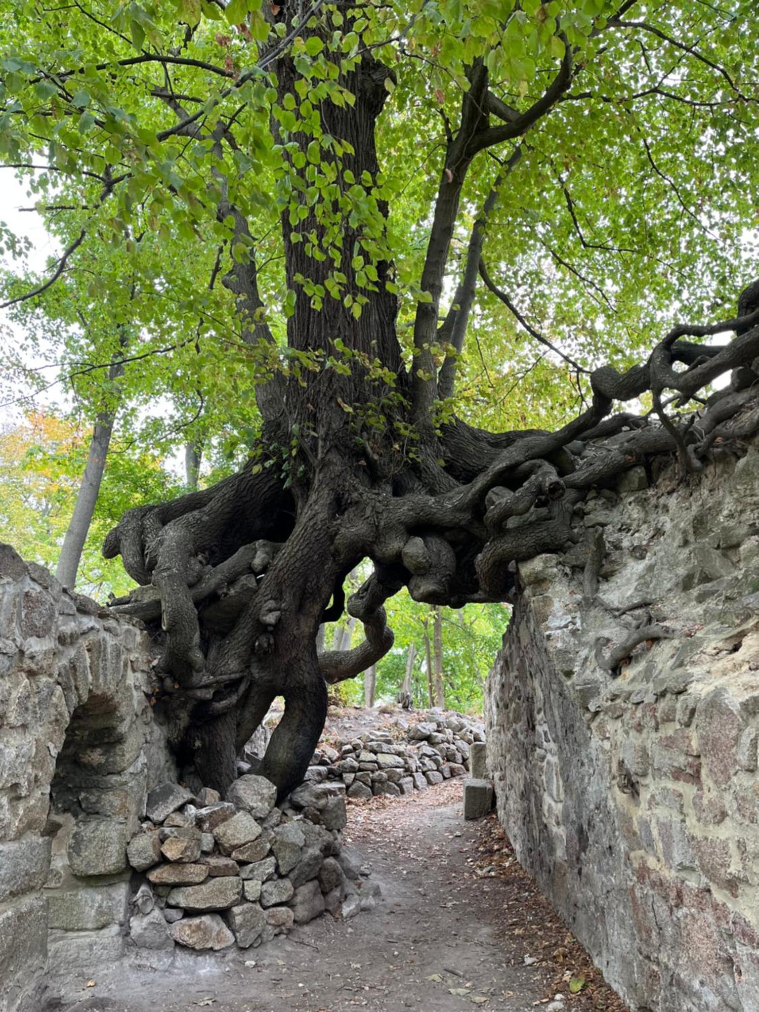 "Kleinstes Haus Von Blankenburg" Urlaub In Einem Einzigartigen Baudenkmal Villa Blankenburg  Eksteriør bilde